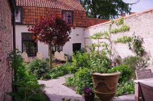 Zahrada ubytování B&B Canal Deluxe