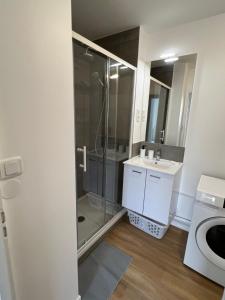 a bathroom with a shower and a sink at Le Familial in Orléans +9 photos