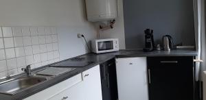 Η κουζίνα ή μικρή κουζίνα στο studio lumineux axe centre ville facs chu