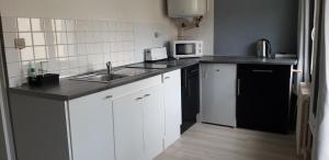 Η κουζίνα ή μικρή κουζίνα στο studio lumineux axe centre ville facs chu