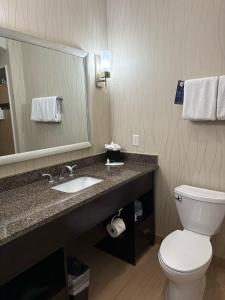 a bathroom with a sink and a toilet and a mirror at Fairfield Inn and Suites by Marriott North Spring in Spring