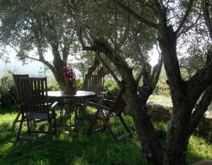 a table and chairs under a tree in the grass at Casa El Rey in Murillo de Gállego +12 photos