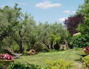a garden with a cow laying in the grass at Casa El Rey in Murillo de Gállego