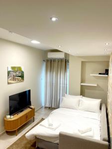 a bedroom with a bed and a flat screen tv at Ioannina Center Apartment in Ioannina