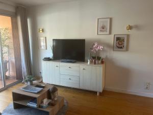 Телевизор и/или развлекательный центр в Magnifique Appartement à Cassis,Parking,2 pas du Port