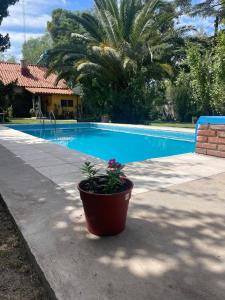 Πισίνα στο ή κοντά στο Escapada Exclusiva en Finca con Viñedos y Olivares Relájate en la Naturaleza con Confort y Encanto