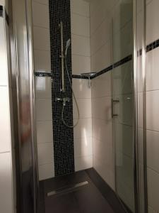 a shower with a glass door in a bathroom at Ferienwohnung Stargard in Burg Stargard