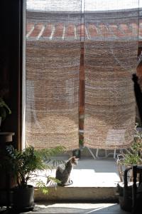 Fotografie z fotogalerie ubytování Dwell in Quemoy Homestay v destinaci Jincheng