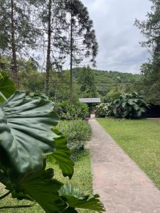 Příroda nedaleko hostelu + 22 fotografií