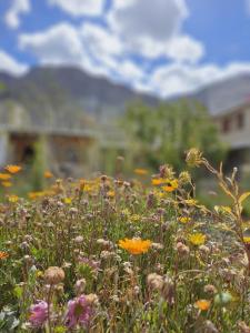 Φωτογραφία από το άλμπουμ του Tsogstot residency σε Deskit