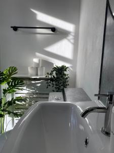 ein Waschbecken mit einer Pflanze darauf in der Unterkunft Modern Townhouse-Free Parking-Games Room-Fast W-iFi in Manchester