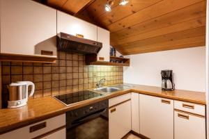 A kitchen or kitchenette at Appartement Erler