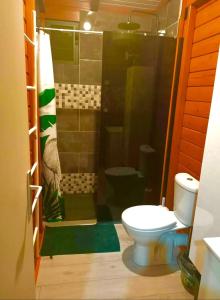 a bathroom with a toilet and a shower at Villa spacieuse à Saint-François avec piscine privée in Saint-François