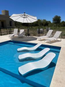 a swimming pool with white chairs and an umbrella at Anna Apart Boutique in Colón +33 photos