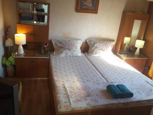 En eller flere senge i et værelse på Diana Guesthouse