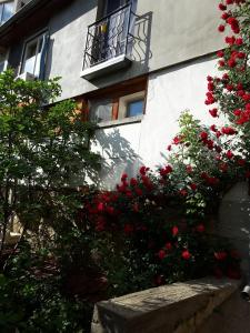 En have udenfor Diana Guesthouse