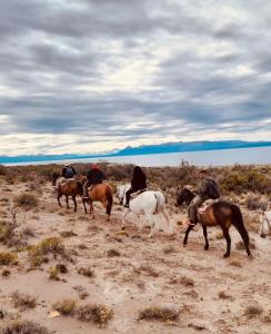 a group of people riding horses in the desert at Departamento Patagónico in Los Antiguos +6 photos