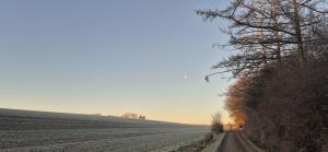 a dirt road in the middle of a field at Ferienapartment Haus am Grün 1 "Sunrise" - Ruhe & Entspannung mitten in der Natur in Herzberg am Harz +16 photos