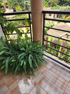 Fotografie z fotogalerie ubytování Kitiko Residence Safari Hotel v destinaci Kampala