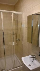 ein Badezimmer mit Dusche und Waschbecken in der Unterkunft Hotel Atrans in Psary