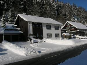 une personne debout devant un bâtiment recouvert de neige dans l'établissement Ferienwohnung Gohlke, à Kamschlacken