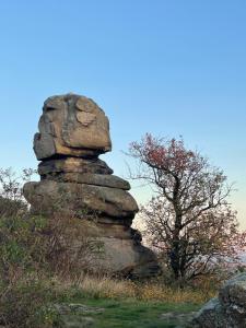 a stack of rocks with a face on it at Ferienhaus E3 in Etzmannsdorf bei Straning
