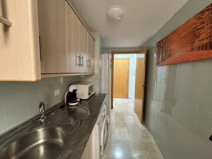 una cucina con lavello e microonde di Apartamento insonorizado con vistas a plaza Bib Rambla a Granada