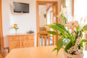 A television and/or entertainment centre at Pension- Appartement Kristall