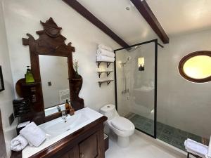 圣何塞德迈波阿尔提普拉尼克卡扬德尔麦波酒店的带水槽、马桶和淋浴的浴室 更多53张照片