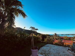 a cactus in a pot on a patio with the ocean at Villa Bleue, piscine, vue mer in Le Diamant