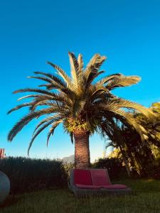 a palm tree with a lounge chair under it at Villa Bleue, piscine, vue mer in Le Diamant