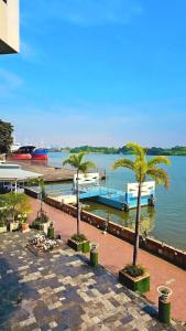 a marina with palm trees and a dock with a boat at River View Active 6 in Bangkok