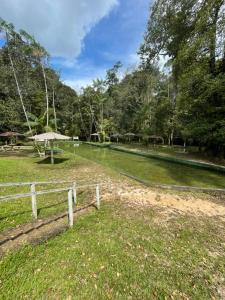 ein Zaun in einem Feld mit einem Teich in der Unterkunft Casa mobiliada tipo chácara para cop30 in Benfica
