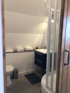 a bathroom with a shower and a toilet and a sink at Tinyhouse in Bakkeveen in Bakkeveen