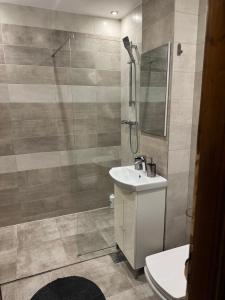 Un baño con lavabo y ducha de cristal. en Apartament 3 camere lux cu terasă - Central Universitatea din Craiova - PARCARE GRATUITĂ, en Craiova