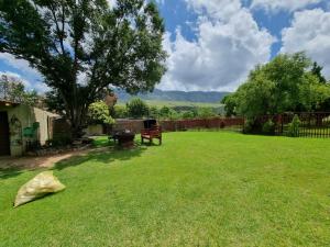 a yard with a tree and a fence at Bergsig Self catering in Harrismith
