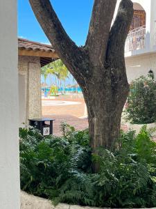 Fotografie z fotogalerie ubytování Bayahibe Cadaques Caribe Apartment v destinaci Bayahibe