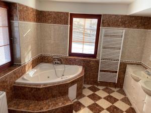 Koupelna v ubytování Apartmany215