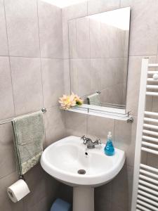 een badkamer met een wastafel en een spiegel bij Central Apartments Madona in Craiova