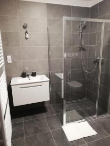 Koupelna v ubytování Apartmany215