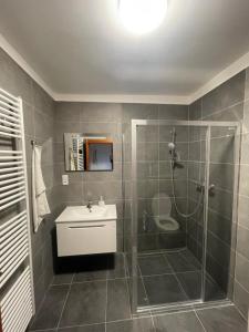 Koupelna v ubytování Apartmany215