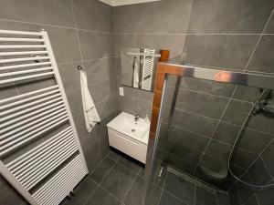 Koupelna v ubytování Apartmany215