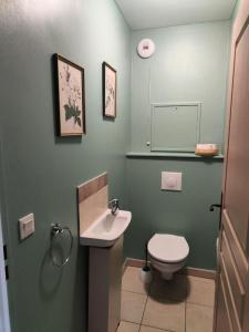 une salle de bain verte avec des toilettes et un lavabo dans l'établissement Les Coteaux de Pont Royal en Provence - maeva Home - Appartement 3 pièces 6 personnes - Sélection MAE-2554, à Mallemort 17 autres photos