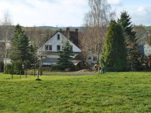 a house in a field with green grass and trees at Ferienwohnung Pügner in Crottendorf