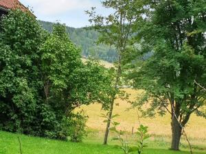Natural landscape malapit sa holiday home