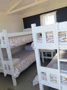 two white bunk beds in a room with a window at Townsend Backpackers in Lambertʼs Bay