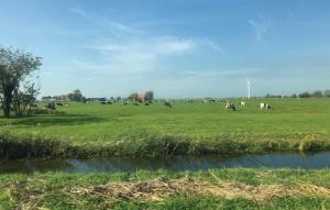 Gallery image of Awesome Stacaravan In Tzummarum in Tzummarum +11 photos