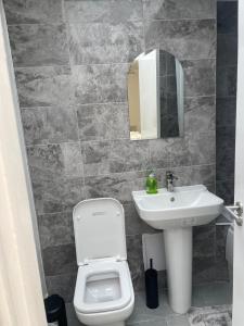 a bathroom with a sink and a toilet and a mirror at Alpha Properties 2 in Southend-on-Sea