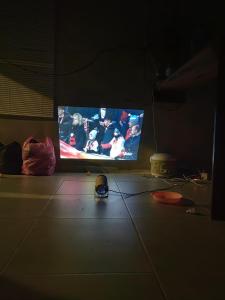 TV a/nebo společenská místnost v ubytování Aqlan Garden House