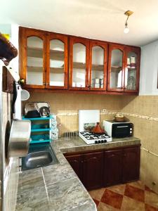 Kuchyň nebo kuchyňský kout v ubytování Appartement confort et sérénité